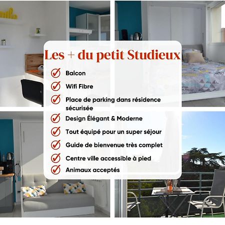 Le Petit Studieux - Parking - Animaux Acceptes - Centre Ville Accessible A Pied Albi Ngoại thất bức ảnh