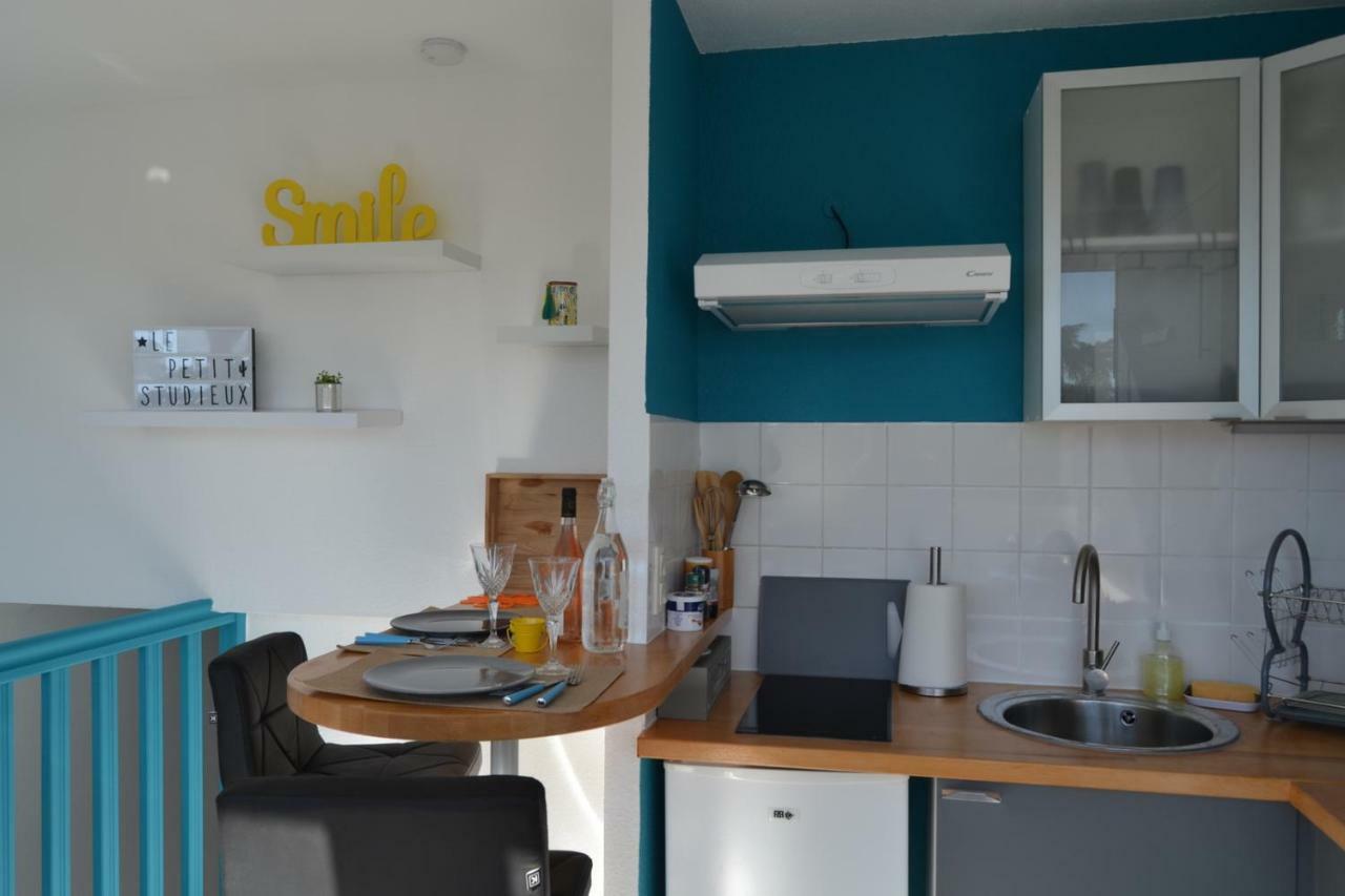 Le Petit Studieux - Parking - Animaux Acceptes - Centre Ville Accessible A Pied Albi Ngoại thất bức ảnh