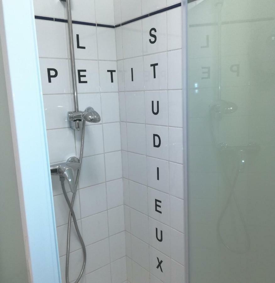 Le Petit Studieux - Parking - Animaux Acceptes - Centre Ville Accessible A Pied Albi Ngoại thất bức ảnh